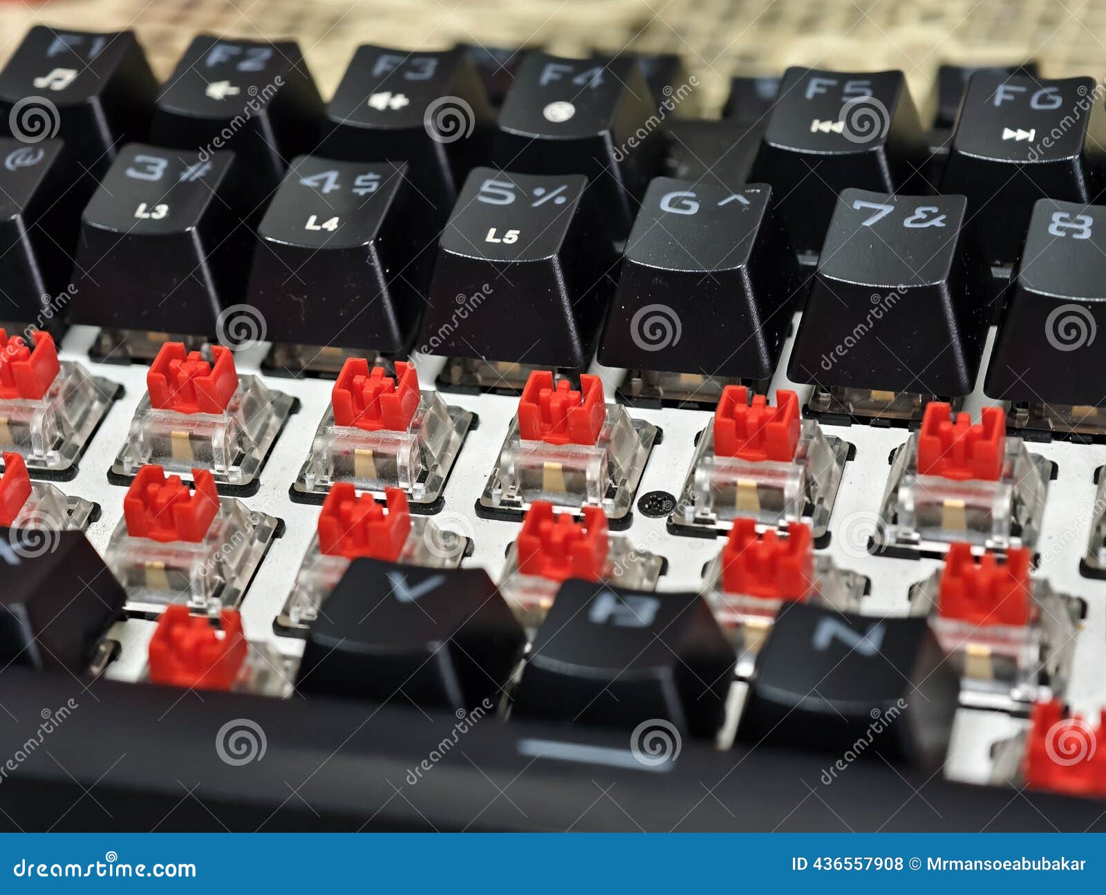 Macro shot of mechanical keyboard switches